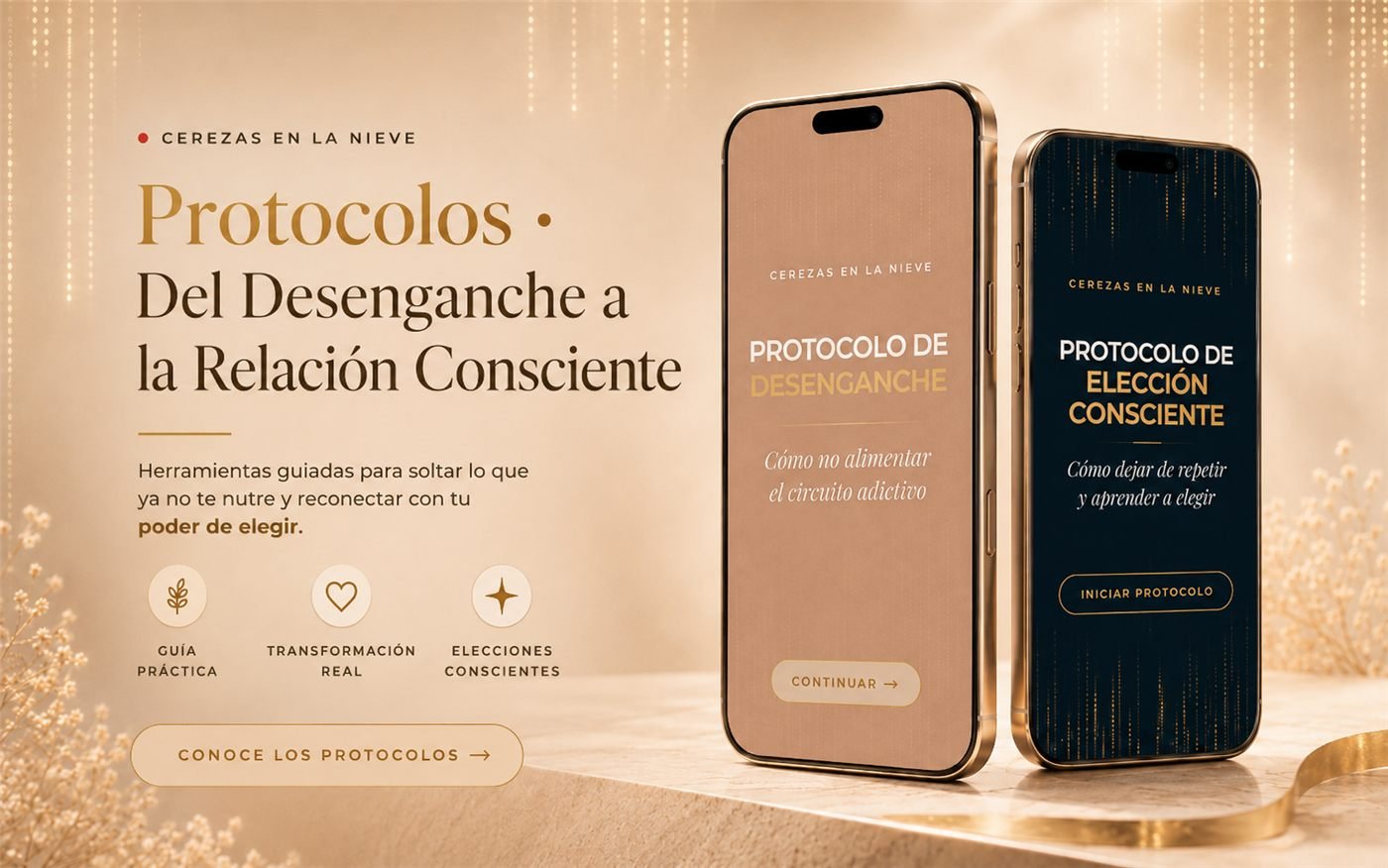 Protocolos